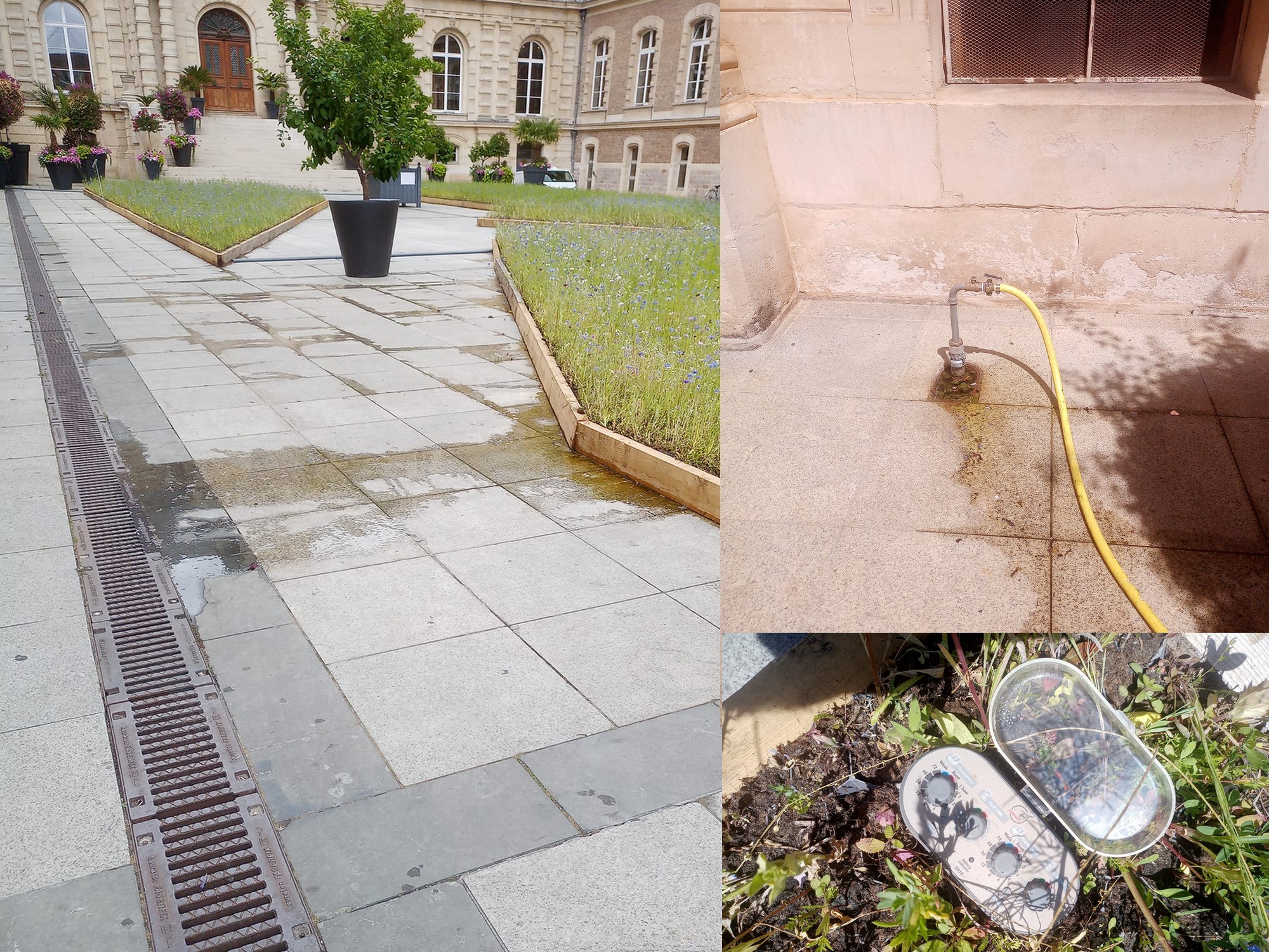 A Amiens, en pleine sécheresse, le système d’arrosage fuit jour et nuit